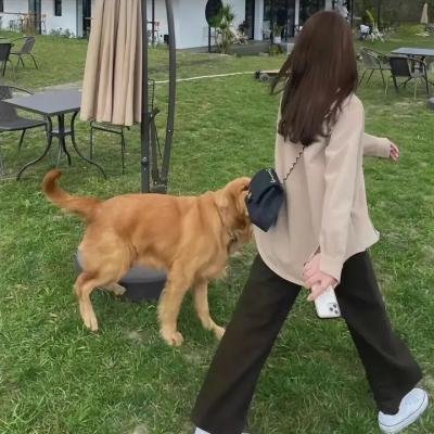 凡夫俗子
